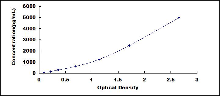 白介素2受体β(IL2Rb)检测试剂盒(酶联免疫吸附试验法)