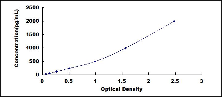 白介素8受体β(IL8Rb)检测试剂盒(酶联免疫吸附试验法)