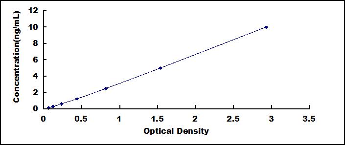 多囊肾疾病1蛋白(PKD1)检测试剂盒(酶联免疫吸附试验法)