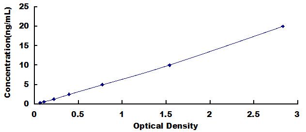 肾上腺素能受体β3(ADRb3)检测试剂盒(酶联免疫吸附试验法)