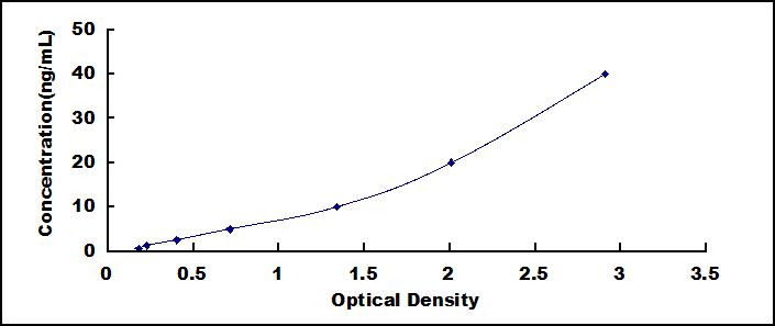 Rho GDP解离抑制因子β(ARHGDIb)检测试剂盒(酶联免疫吸附试验法)