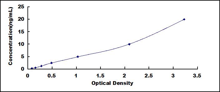 DNA指导聚合酶γ1(POLg1)检测试剂盒(酶联免疫吸附试验法)