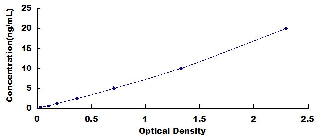 双C2样域β(DOC2b)检测试剂盒(酶联免疫吸附试验法)