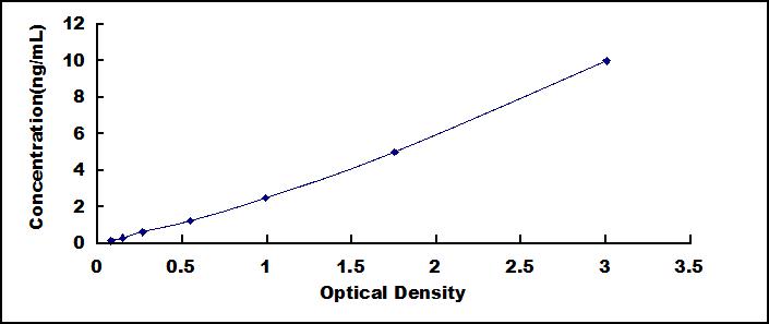 β-1,3-N-乙酰葡糖胺基转移酶3(b3GNT3)检测试剂盒(酶联免疫吸附试验法)